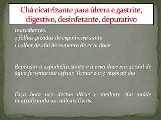 Ingredientes:
7 folhas picadas de espinheira santa
1 colher de chá de semente de erva doce
Repousar a espinheira santa e a erva doce em 400ml de
água fervente até esfriar. Tomar 2 a 3 vezes ao dia
Faça bom uso destas dicas e melhore sua saúde
neutralizando os radicais livres.
 