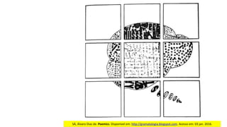 SÁ,	Álvaro	Dias	de.	Poemics.	Disponível	em:	http://gramatologia.blogspot.com.	Acesso	em:	03	jan.	2016.
 