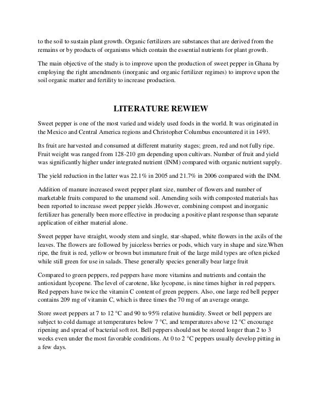 Custom term paper and research paper the difference