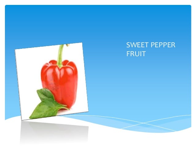 Growth and yield of bell pepper picture