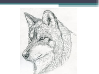 O ponto e a linha   aula 6º ano - 2013