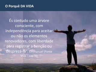 O Porquê DA VIDA
És contudo uma árvore
consciente, com
independência para aceitar
ou não os elementos
renovadores, com liberdade
para registrar a benção ou
desprezá-la”. Emmanuel (Fonte
Viva – cap78)
 