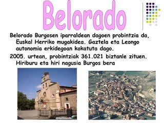 Belorado Burgosen iparraldean dagoen probintzia da,
Euskal Herriko mugakidea. Gaztela eta Leongo
autonomia erkidegoan kokatuta dago.
2005. urtean, probintziak 361.021 biztanle zituen.
Hiriburu eta hiri nagusia Burgos bera
 