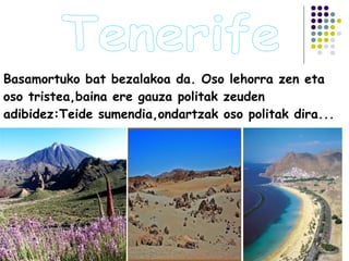 Basamortuko bat bezalakoa da. Oso lehorra zen eta
oso tristea,baina ere gauza politak zeuden
adibidez:Teide sumendia,ondartzak oso politak dira...
 