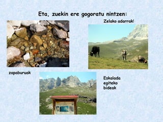 Eta, zuekin ere gogoratu nintzen:
zapaburuak
Zelako adarrak!
Eskalada
egiteko
bideak
 