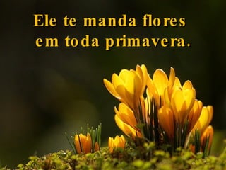 Ele te manda flores  em toda primavera. 