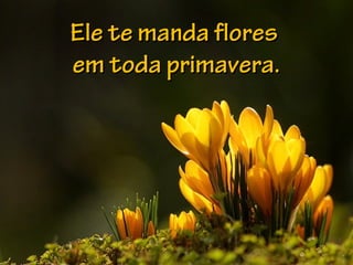 Ele te manda floresEle te manda flores
em toda primavera.em toda primavera.
 