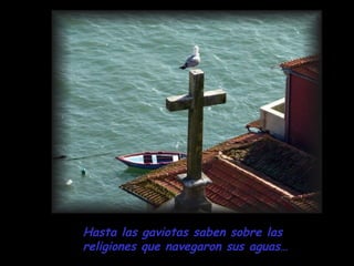 Hasta las gaviotas saben sobre las religiones que navegaron sus aguas… 