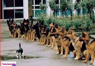 Emprender:  Acometer y   comenzar  una obra, un negocio, un empeño, especialmente si encierran  dificultad  o  peligro . Acción Coraje Difícil 