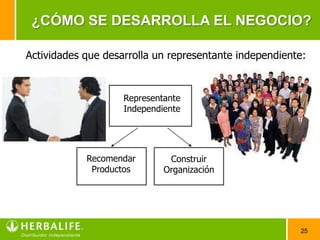 ¿CÓMO SE DESARROLLA EL NEGOCIO?

Actividades que desarrolla un representante independiente:


                    Representante
                    Independiente




            Recomendar        Construir
             Productos       Organización




                                                        25
 
