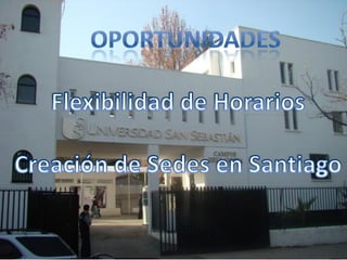 Oportunidades