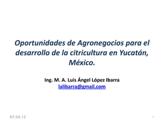Oportunidades de Agronegocios para el
  desarrollo de la citricultura en Yucatán,
                  México.

           Ing. M. A. Luis Ángel López Ibarra
                 lalibarra@gmail.com




07.04.12                                        1
 