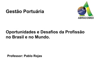Gestão Portuária
Oportunidades e Desafios da Profissão
no Brasil e no Mundo.
Professor: Pablo Rojas
 