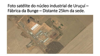 Foto satélite do núcleo industrial de Uruçuí –
Fábrica da Bunge – Distante 25km da sede.
 