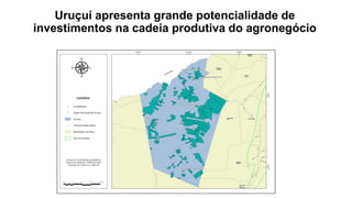 Uruçuí apresenta grande potencialidade de
investimentos na cadeia produtiva do agronegócio
 