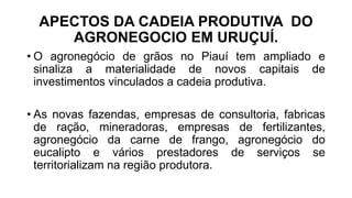 APECTOS DA CADEIA PRODUTIVA DO
AGRONEGOCIO EM URUÇUÍ.
• O agronegócio de grãos no Piauí tem ampliado e
sinaliza a materialidade de novos capitais de
investimentos vinculados a cadeia produtiva.
• As novas fazendas, empresas de consultoria, fabricas
de ração, mineradoras, empresas de fertilizantes,
agronegócio da carne de frango, agronegócio do
eucalipto e vários prestadores de serviços se
territorializam na região produtora.
 