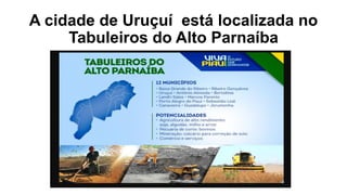 A cidade de Uruçuí está localizada no
Tabuleiros do Alto Parnaíba
 