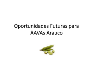 Oportunidades Futuras para
      AAVAs Arauco
 