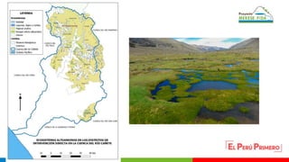 Oportunidades para las turberas en el marco del Proyecto MERESE – FIDA