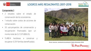 Oportunidades para las turberas en el marco del Proyecto MERESE – FIDA