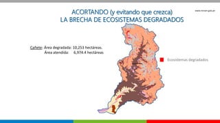 Oportunidades para las turberas en el marco del Proyecto MERESE – FIDA