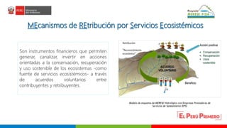 Oportunidades para las turberas en el marco del Proyecto MERESE – FIDA