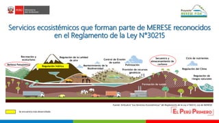 Oportunidades para las turberas en el marco del Proyecto MERESE – FIDA