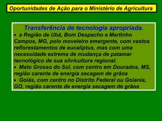 Transferência de tecnologia apropriada.
• a Região de Ubá, Bom Despacho e Martinho
Campos, MG, polo moveleiro emergente, com vastos
reflorestamentos de eucaliptus, mas com uma
necessidade extrema de mudança de patamar
tecnológico de sua silvicultura regional.
• Mato Grosso do Sul, com centro em Dourados, MS,
região carente de energia secagem de grãos
• Goiás, com centro no Distrito Federal ou Goiania,
GO, região carente de energia secagem de grãos
Oportunidades de Ação para o Ministério de Agricultura
 