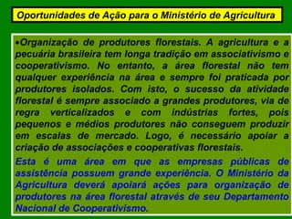 •Organização de produtores florestais. A agricultura e a
pecuária brasileira tem longa tradição em associativismo e
cooperativismo. No entanto, a área florestal não tem
qualquer experiência na área e sempre foi praticada por
produtores isolados. Com isto, o sucesso da atividade
florestal é sempre associado a grandes produtores, via de
regra verticalizados e com indústrias fortes, pois
pequenos e médios produtores não conseguem produzir
em escalas de mercado. Logo, é necessário apoiar a
criação de associações e cooperativas florestais.
Esta é uma área em que as empresas públicas de
assistência possuem grande experiência. O Ministério da
Agricultura deverá apoiará ações para organização de
produtores na área florestal através de seu Departamento
Nacional de Cooperativismo.
Oportunidades de Ação para o Ministério de Agricultura
 