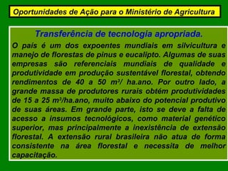 Transferência de tecnologia apropriada.
O país é um dos expoentes mundiais em silvicultura e
manejo de florestas de pinus e eucalipto. Algumas de suas
empresas são referenciais mundiais de qualidade e
produtividade em produção sustentável florestal, obtendo
rendimentos de 40 a 50 m3
/ ha.ano. Por outro lado, a
grande massa de produtores rurais obtém produtividades
de 15 a 25 m3
/ha.ano, muito abaixo do potencial produtivo
de suas áreas. Em grande parte, isto se deve a falta de
acesso a insumos tecnológicos, como material genético
superior, mas principalmente a inexistência de extensão
florestal. A extensão rural brasileira não atua de forma
consistente na área florestal e necessita de melhor
capacitação.
Oportunidades de Ação para o Ministério de Agricultura
 