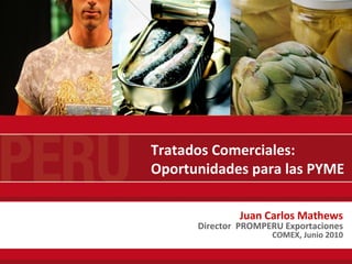Juan Carlos Mathews Director  PROMPERU Exportaciones COMEX,  Junio 2010 Tratados Comerciales:  Oportunidades para las PYME 