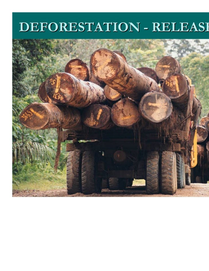 CONSEQUENCES OF OUR ACCUMULATED ENVIRONMENTAL VIOLATIONS