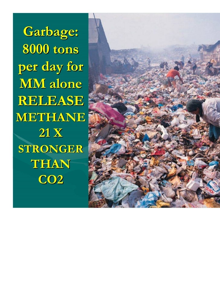 CONSEQUENCES OF OUR ACCUMULATED ENVIRONMENTAL VIOLATIONS