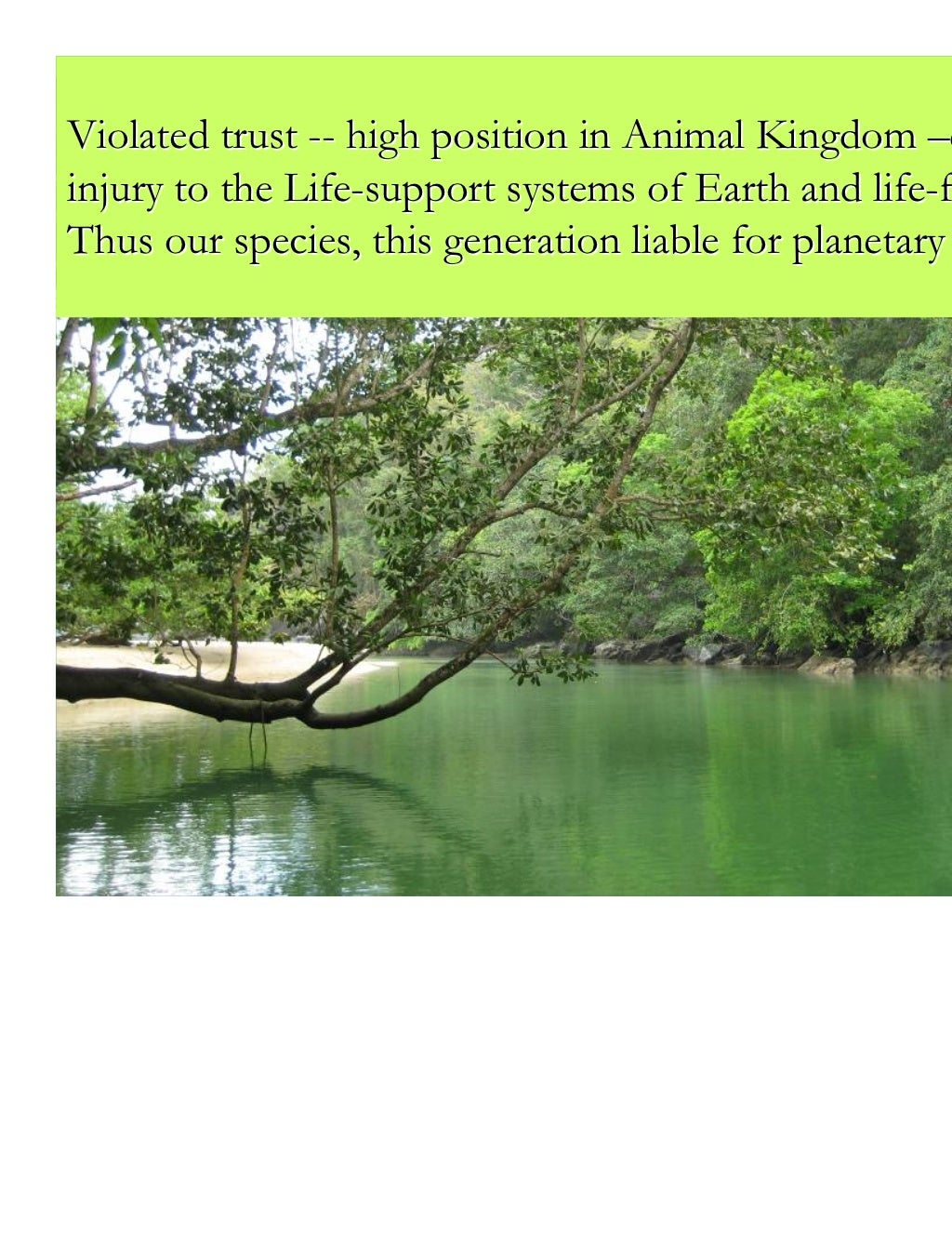 CONSEQUENCES OF OUR ACCUMULATED ENVIRONMENTAL VIOLATIONS