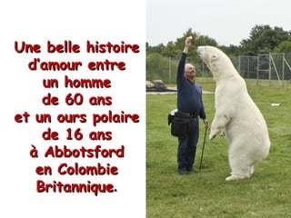 Une belle histoireUne belle histoire
d’amour entred’amour entre
un hommeun homme
de 60 ansde 60 ans
et un ours polaireet un ours polaire
de 16 ansde 16 ans
à Abbotsfordà Abbotsford
en Colombieen Colombie
BritanniqueBritannique..
 