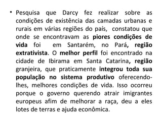 • Pesquisa que Darcy fez realizar sobre as 
condições de existência das camadas urbanas e 
rurais em várias regiões do país, constatou que 
onde se encontravam as piores condições de 
vida foi em Santarém, no Pará, região 
extrativista. O melhor perfil foi encontrado na 
cidade de Ibirama em Santa Catarina, região 
granjeira, que praticamente integrou toda sua 
população no sistema produtivo oferecendo-lhes, 
melhores condições de vida. Isso ocorreu 
porque o governo querendo atrair imigrantes 
europeus afim de melhorar a raça, deu a eles 
lotes de terras e ajuda econômica. 
 