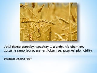 Jeśli ziarno pszenicy, wpadłszy w ziemię, nie obumrze,
zostanie samo jedno, ale jeśli obumrze, przynosi plon obfity.
Ewangelia wg Jana 12;24
 