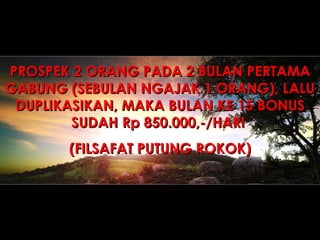 PROSPEK 2 ORANG PADA 2 BULAN PERTAMA GABUNG (SEBULAN NGAJAK 1 ORANG), LALU DUPLIKASIKAN, MAKA BULAN KE 15 BONUS SUDAH Rp 850.000,-/HARI  (FILSAFAT PUTUNG ROKOK) 