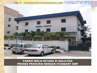 PABRIK MELIA BIYANG DI MALAYSIA PROSES PRODUKSI DENGAN STANDART GMP 