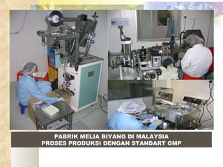 PABRIK MELIA BIYANG DI MALAYSIA PROSES PRODUKSI DENGAN STANDART GMP 