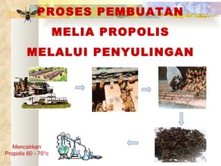 PROSES PEMBUATAN MELIA PROPOLIS MELALUI PENYULINGAN Mencairkan Propolis 60 - 70 °c 
