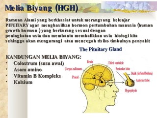 Melia Biyang (HGH) Ramuan Alami yang berkhasiat untuk merangsang  kelenjar PITUITARY agar  menghasilkan hormon pertumbuhan manusia (human growth hormon ) yang berkurang sesuai dengan  peningkatan usia dan membantu membalikkan usia  biologi kita sehingga akan mengurangi  atau mencegah risiko timbulnya penyakit KANDUNGAN MELIA BIYANG: Colostrum (susu awal) Asam amino Vitamin B Kompleks Kalsium 
