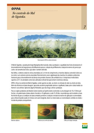 No controle do Mal
de Sigatoka.
OPPA
Tecido seco no centro da mancha
Manchas elípticas Folha com ataque avançado
O Mal de Sigatoka, causado pelo fungo Mycosphaerella musicola, reduz a produção e a qualidade dos frutos da bananeira.O
desenvolvimento do fungo provoca desfolhamento precoce,redução do perfilhamento,redução do número de pencas por
cacho e do tamanho dos frutos,cujo sabor é também alterado.
Nas folhas, o sintoma evolui de estrias amareladas,de 2 a 4 mm de comprimento,a manchas elípticas contendo tecido seco
no centro e um contorno externo amarelado. Posteriormente,ocorre aglutinação das manchas.As condições ambientais
favoráveis para o desenvolvimento da doença são:períodos chuvosos,alta umidade do ar e temperatura média diária
superior a 25°C. As variedades comerciais cultivadas no Brasil não apresentam resistência à doença.
OPPA é eficaz no controle do Mal de Sigatoka, sendo superior ao cobre, ao zineb e às misturas de cobre ou zineb com óleo.
Além da eficiência em baixa dosagem, apresenta excelente propriedade adesiva e espalhante, baixo custo e baixa toxidez ao
homem e aos animais. Apresenta alguma fitotoxidez,que não chega a afetar a produção.
Para as regiões produtoras do litoral de Santa Catarina ao Espírito Santo recomenda-se uma dosagem de 10 a 15 litros por
hectare, em pulverização a baixo volume,fazendo-se 10 aplicações a cada 15-20 dias, no período que vai de outubro a maio.
No interior do país,as condições de baixa umidade permitem a redução à metade do número de aplicações recomendadas
para o litoral.Quando usado em mistura com outro fungicida, devem ser observadas as recomendações contidas no rótulo e
na bula do produto acompanhante.
7
Pulverização de OPPA na cultura da banana
 