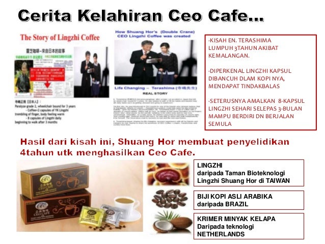 Opp Ceo Cafe Plan 111 Malay Version 2021