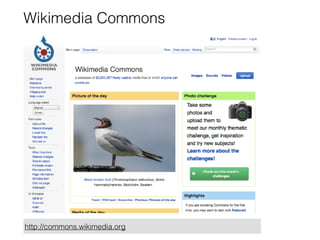 Wikimedia Commons 
http://commons.wikimedia.org 
 