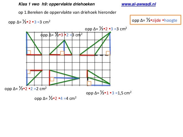 Oppervlakte driehoeken