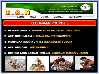 E . S . N SOLUSI         ANDA         UNTUK         MERUBAH         KEHIDUPAN5 PILAR MELIA NATURE INDONESIASARANA ANDA MENUJU PERUBAHAN YANG LEBIH BAIKSEGERALAH BERGABUNG BERSAMA KELUARGA KAMIKAMI MENUNGGU ANDA !!!!!!