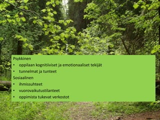 Psykkinen
• oppilaan kognitiiviset ja emotionaaliset tekijät
• tunnelmat ja tunteet
Sosiaalinen
• ihmissuhteet
• vuorovaikutustilanteet
• oppimista tukevat verkostot
 