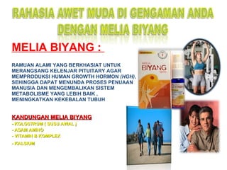 MELIA BIYANG :  RAMUAN ALAMI YANG BERKHASIAT UNTUK   MERANGSANG KELENJAR PITUITARY AGAR  MEMPRODUKSI HUMAN GROWTH HORMON  (HGH),  SEHINGGA DAPAT MENUNDA PROSES PENUAAN  MANUSIA DAN MENGEMBALIKAN SISTEM  METABOLISME YANG LEBIH BAIK ,  MENINGKATKAN KEKEBALAN TUBUH KANDUNGAN MELIA BIYANG -  KOLOSTRUM ( SUSU AWAL ) -  ASAM AMINO  -  VITAMIN B KOMPLEX - K ALSIUM   
