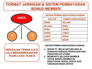 FORMAT JARINGAN & SISTEM PEMBAYARAN  BONUS MEMBER SISTEM PEMBAYARAN BONUS HARIAN : BISNIS PT .  MELIA NATURE BISA DI GUNAKAN SEBAGAI PEKERJAAN DAN PENGHASILAN UTAMA MEMBANTU SELURUH MEMBER UNTUK MAMPU MEMBIAYAI KEBUTUHAN, MODAL KERJA DAN TABUNGAN MASA DEPAN MENGAJAK TEMAN A & B LALU MENGEMBANGKAN  TEAM A DAN TEAM B ANDA A B SISTEM PEMBAYARAN BONUS HARIAN DAFTAR PEMBAYARAN BONUS SENIN SELASA SELASA RABU RABU KAMIS KAMIS JUMAT JUMAT SENIN SABTU SENIN 